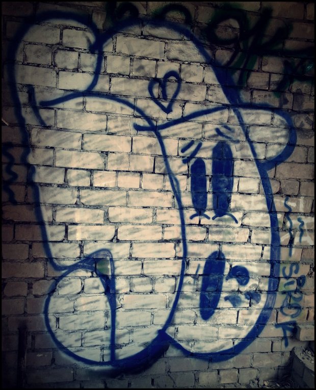 Graffiti Bombing - Photo by TrashLife - SIROK, TUPA, TPS (HZ)