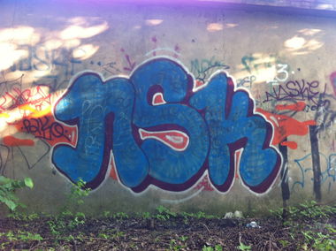 Graffiti Wall - Photo by TrashLife - NASKE, NSK, TUPA (2013)