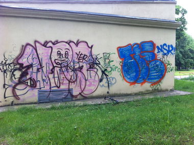Graffiti Bombing - Photo by TrashLife - TRASH, TUPA, TPS