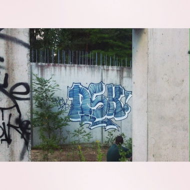 Graffiti Bombing - Photo by TrashLife - NASKE, NSK, TPS