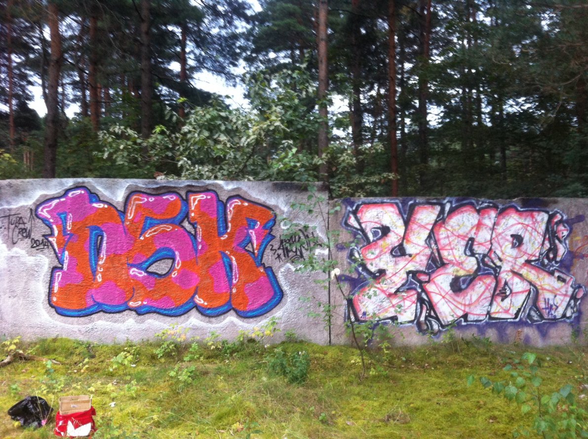 Graffiti Bombing - Photo by TrashLife - NSK, NASKE, YER