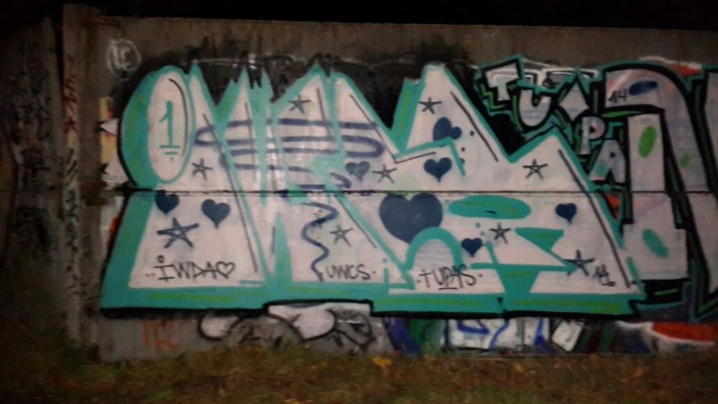 Graffiti Bombing - Photo by TrashLife - iwda