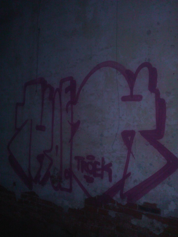 Graffiti Bombing - Photo by TroekTROEK