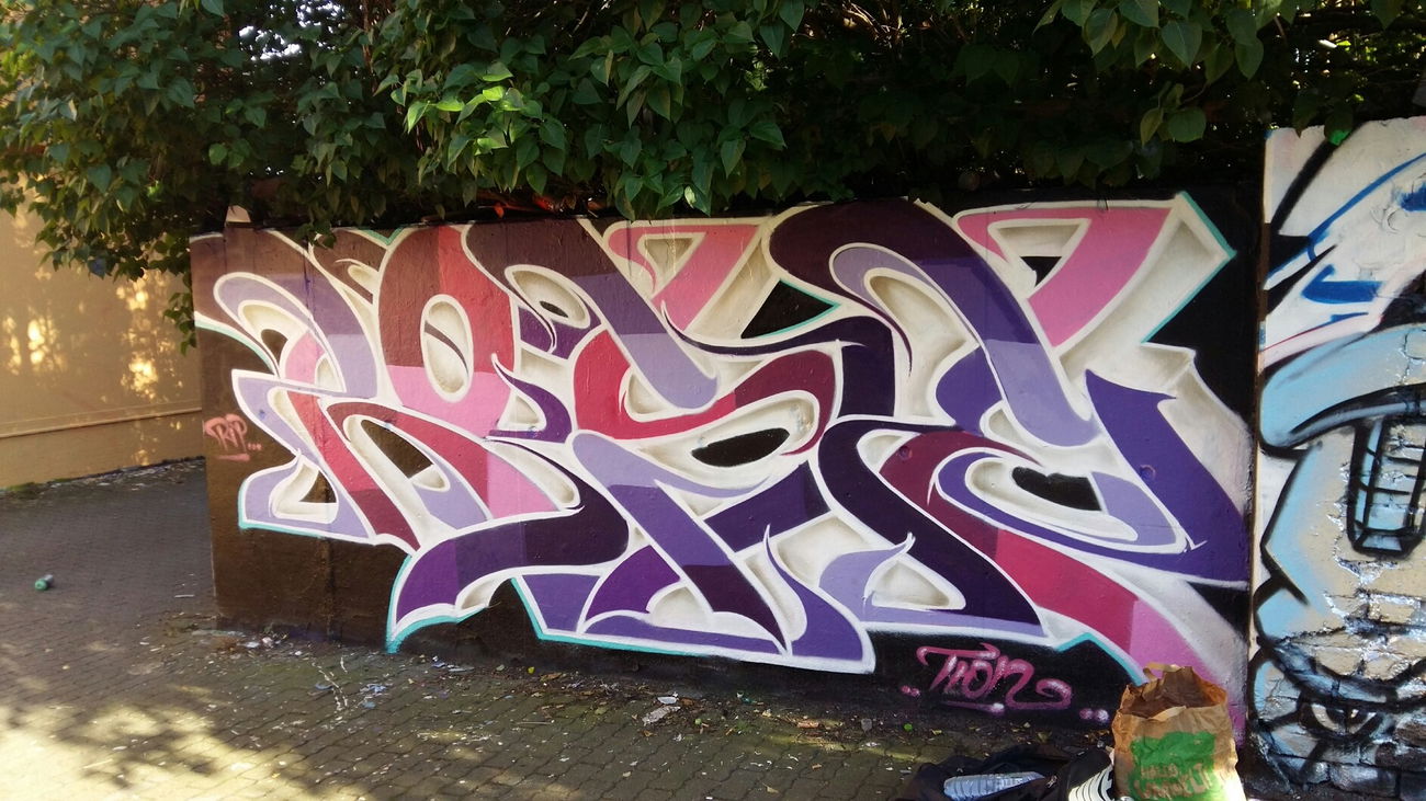 Graffiti Wall - Photo by Tron - Rip, Rose.........Tron (2017)