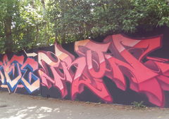 Graffiti Wall - Photo by Tron - Rose(Rokoe), Tron (2020)