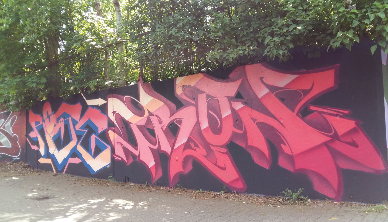 Graffiti Wall - Photo by Tron - Rose(Rokoe), Tron (2020)