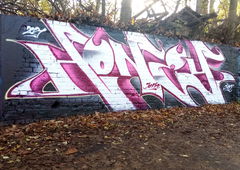 Graffiti Wall - Photo by Tron - Honey (2021)