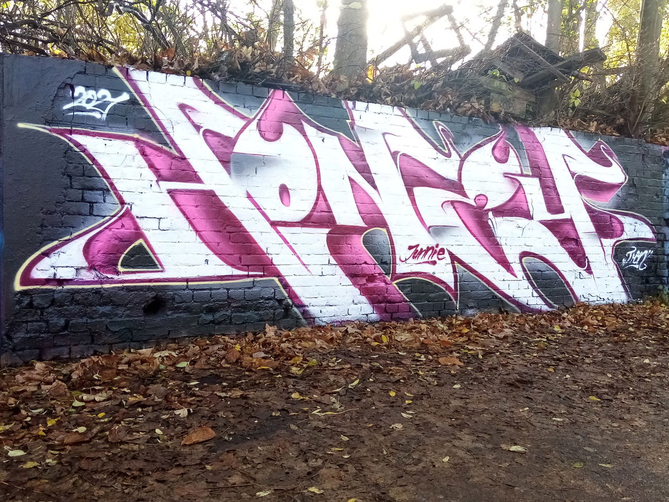 Graffiti Wall - Photo by Tron - Honey (2021)