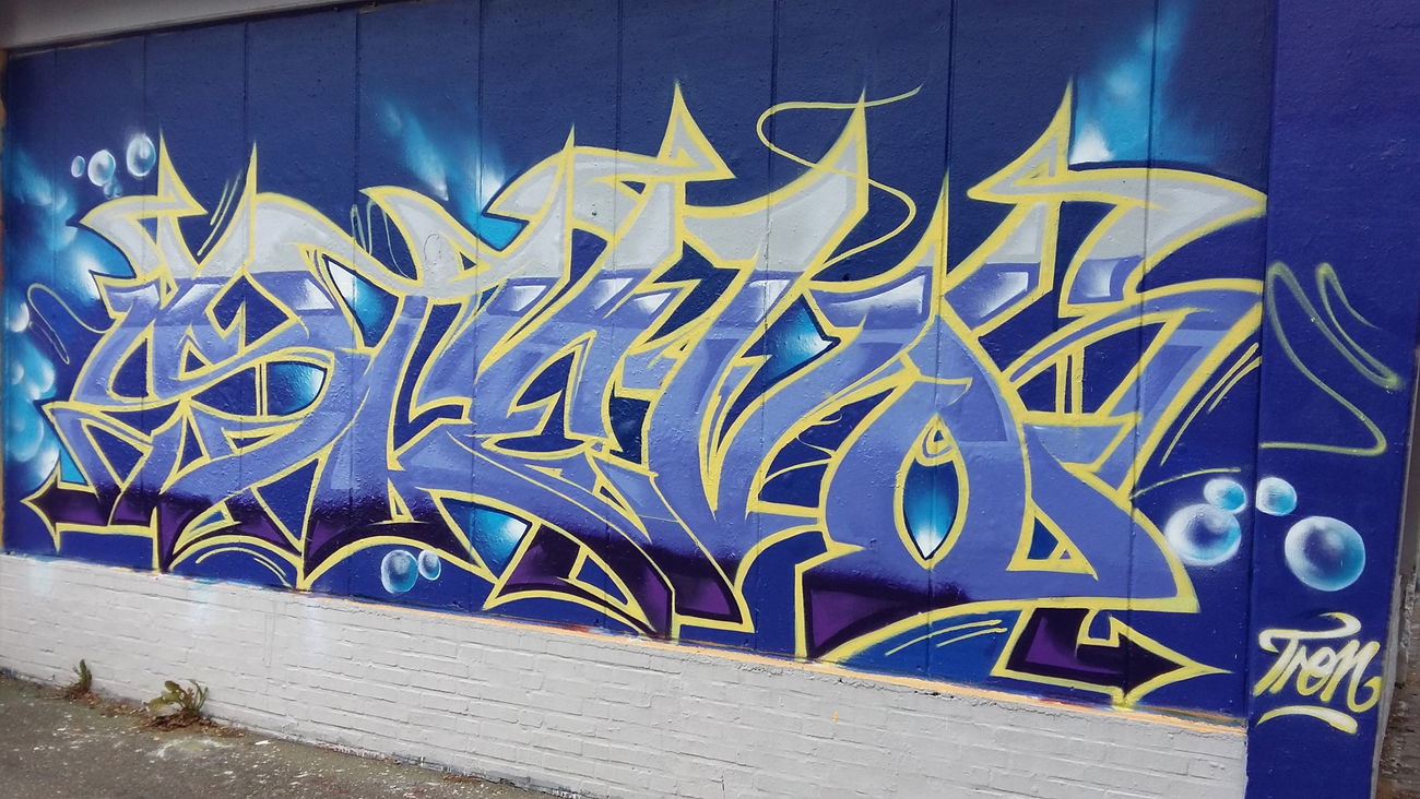 Graffiti Wall - Photo by Tron - Stevo, by, Tron (2015)
