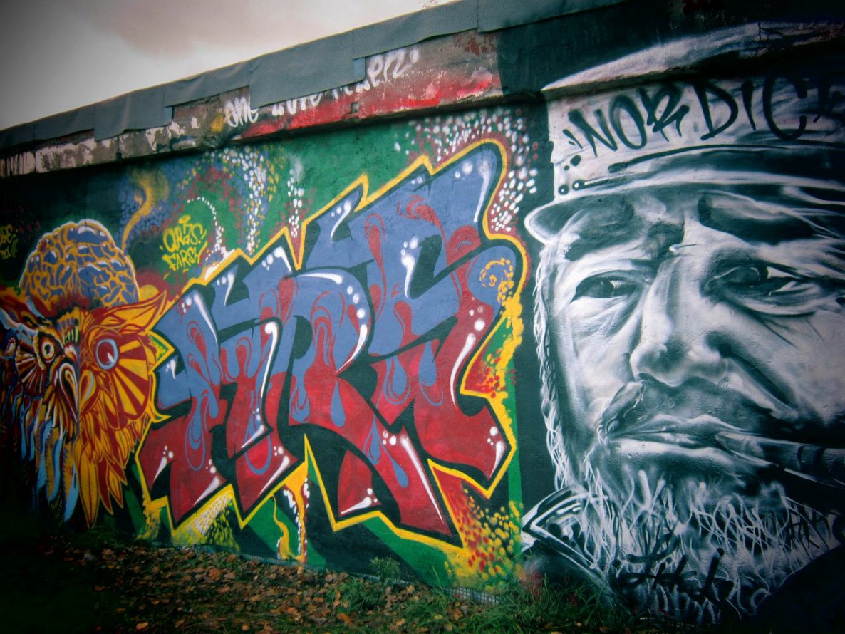 Graffiti Street Art - Photo by Trou - frs, graffiti, brain (2012)