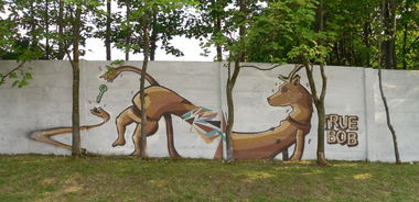 Graffiti in Bydgoszcz - Photo by TrueBob - True, Bob, Poland