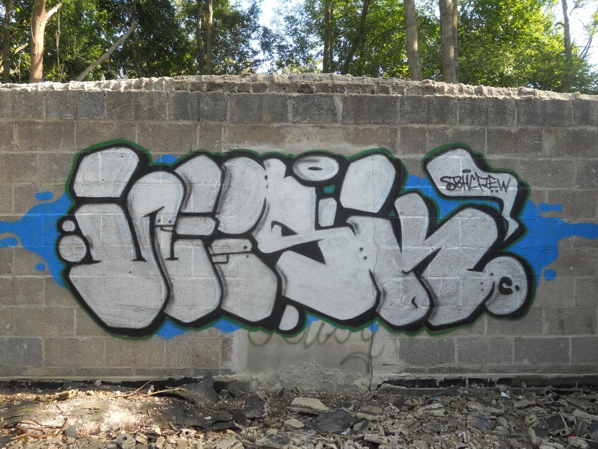 Graffiti Bombing - Photo by TrueGame - Wisk! (2013)