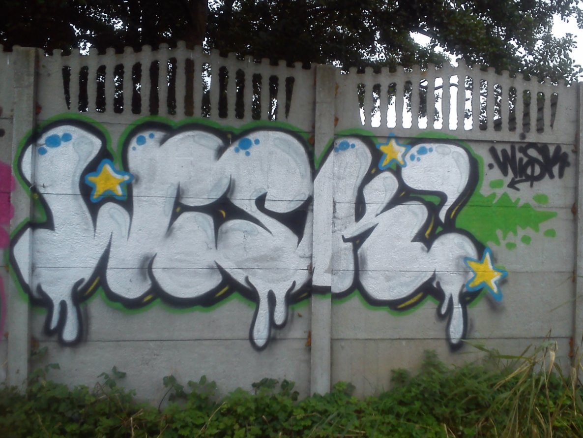 Graffiti Bombing - Photo by TrueGame