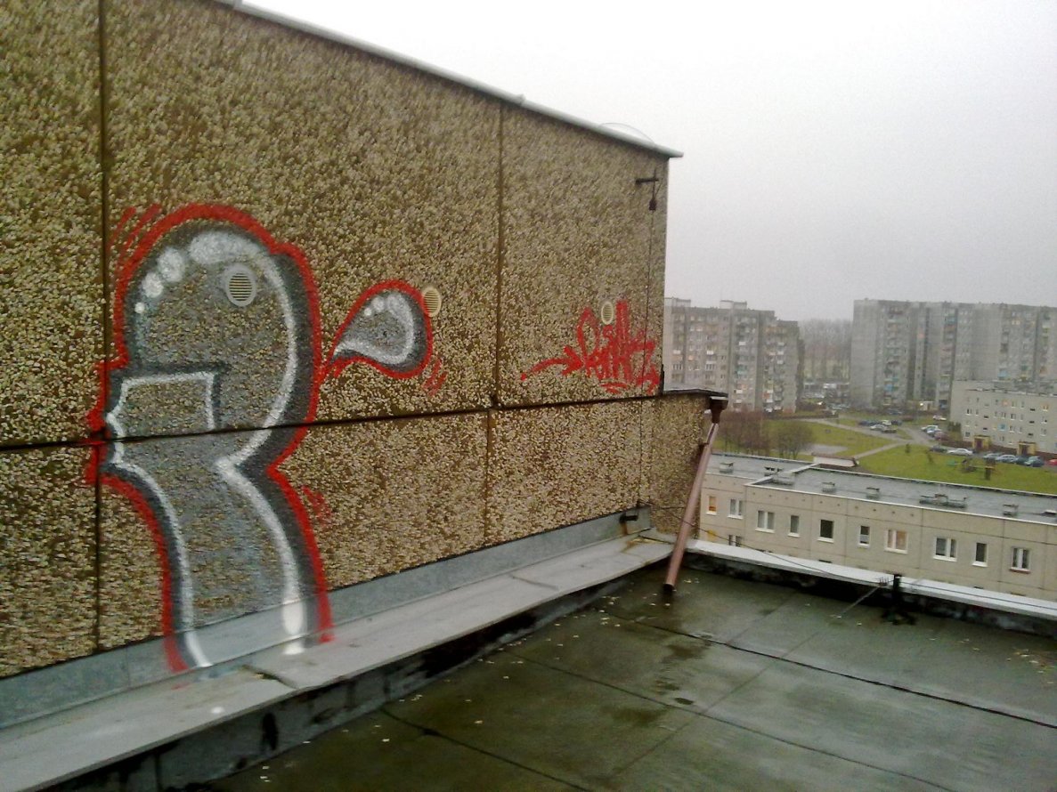 Graffiti Bombing - Photo by TrueGame - Rooftop, Ogrody, Penak (2013)