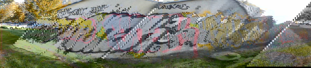 Graffiti Bombing - Photo by TrueGame - Beks, aka, Wisk~~>Penak
