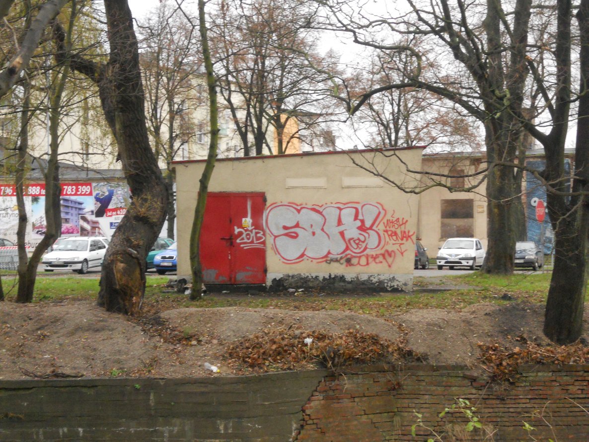 Graffiti Bombing - Photo by TrueGame