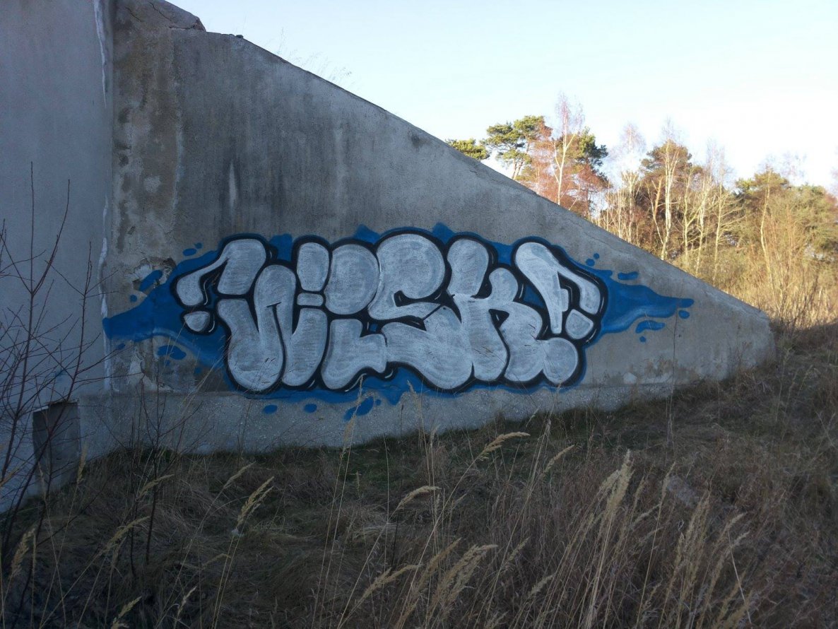 Graffiti Bombing - Photo by TrueGame (2014)