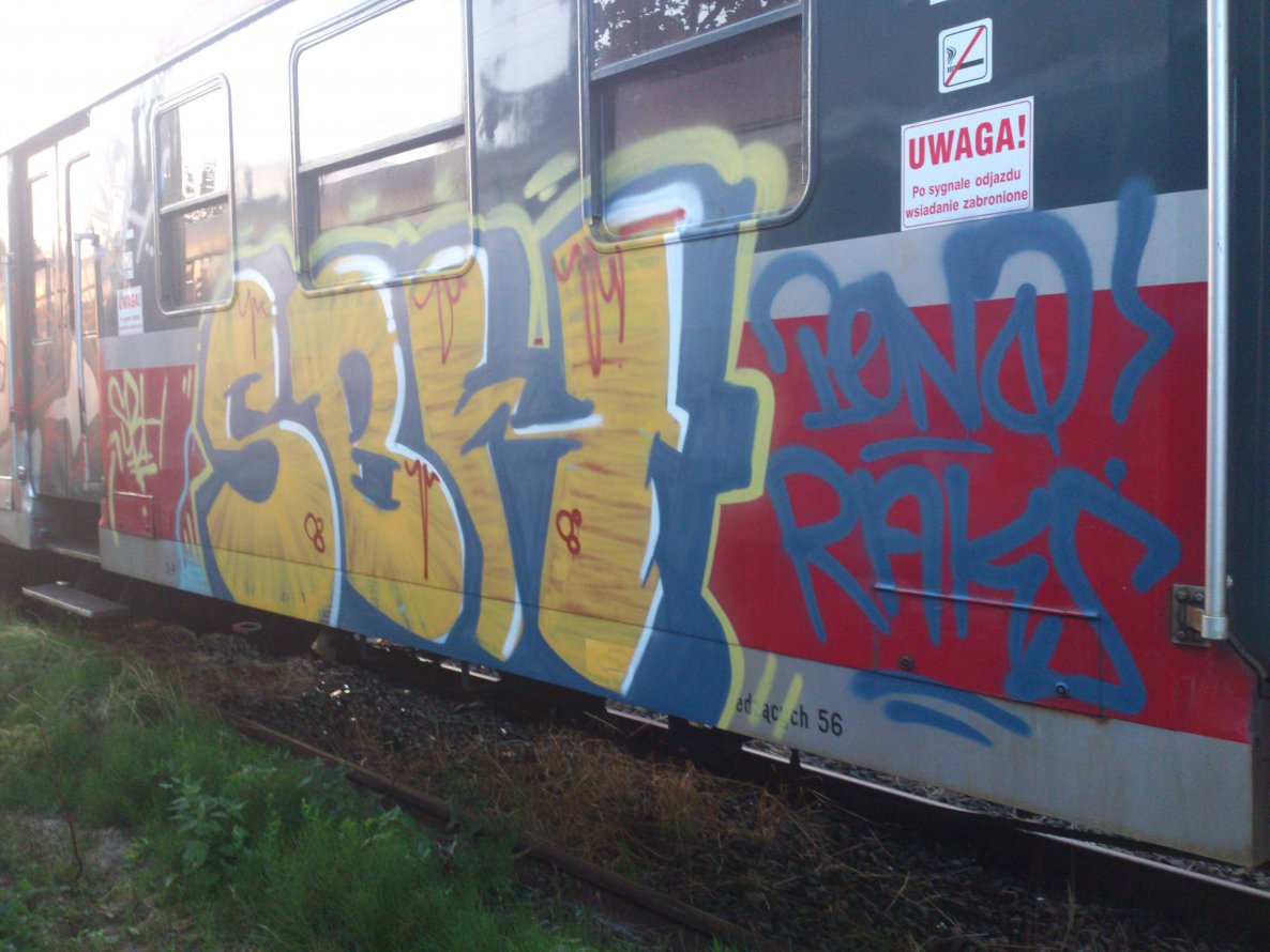 Graffiti Train - Photo by TrueGame (2014)
