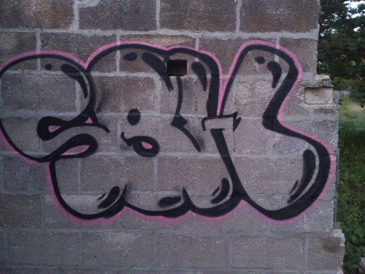 Graffiti Bombing - Photo by TrueGame