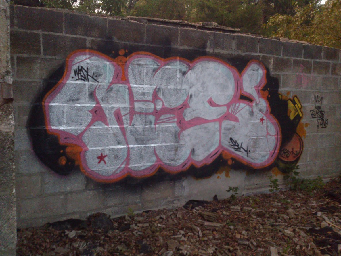 Graffiti Bombing - Photo by TrueGame