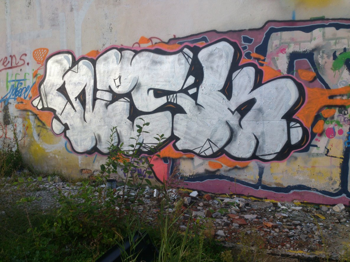 Graffiti Bombing in Ko?obrzeg - Photo by TrueGame
