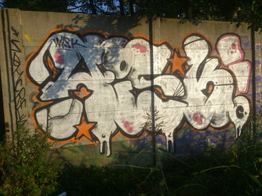 Graffiti Bombing - Photo by TrueGame - szybki, wisk