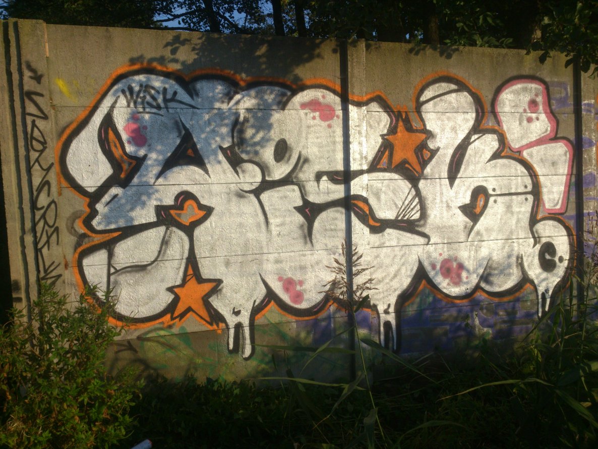 Graffiti Bombing - Photo by TrueGame - szybki, wisk