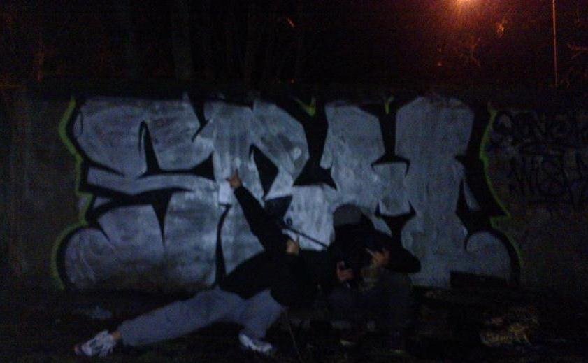 Graffiti Bombing in Ko?obrzeg - Photo by TrueGame - Train-Line