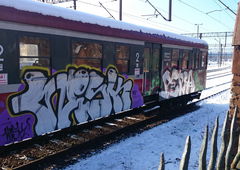 Photo #135623 by Roseone