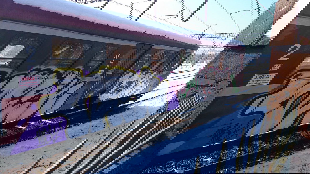 Graffiti Train - Photo by TrueGame - Wisk, Pena