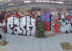 Photo #17040 by loke