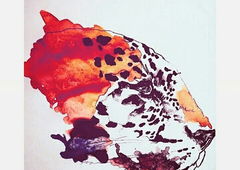 Photo #192060 by TagHagel