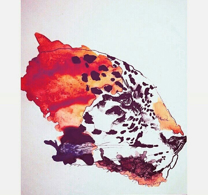 Graffiti Sketch - Photo by Tsavo - tsavographite, cheetah, faiyya (2016)