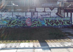 Photo #83852 by TagHagel