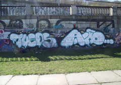 Photo #85049 by TagHagel