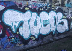 Photo #85050 by TagHagel