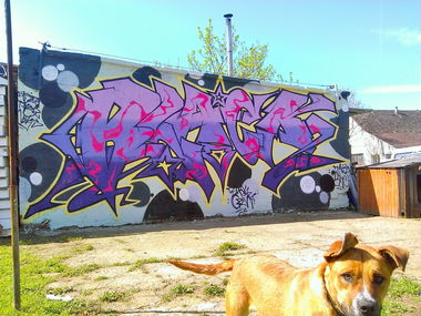 Graffiti Wall - Photo by Typa1 - Typer, Nex