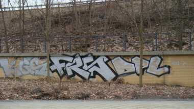 Graffiti Bombing - Photo by Tysn