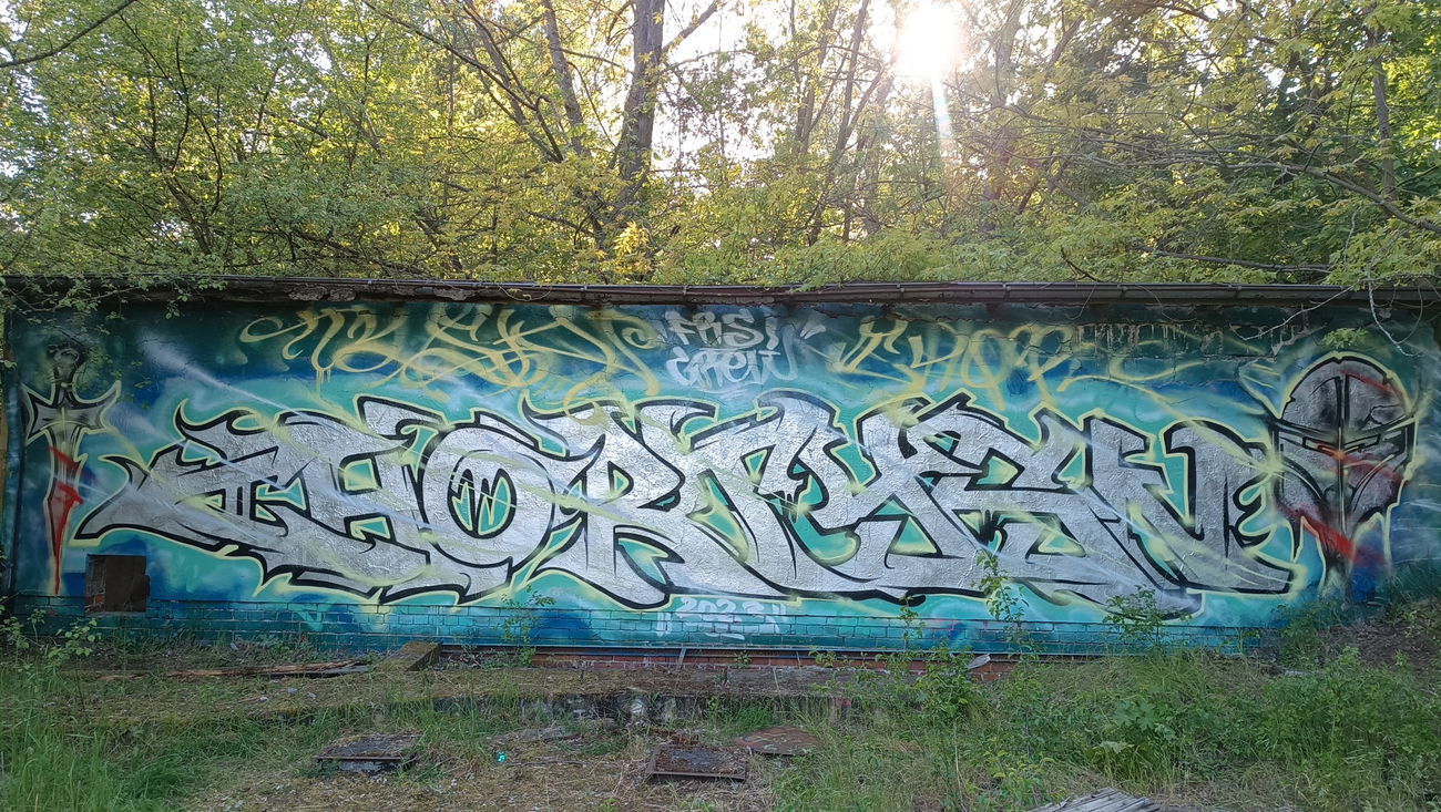 Graffiti Wall - Photo by Tysn - Tysnone, frs, 94