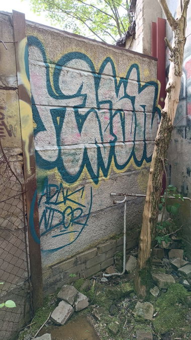 Graffiti Wall - Photo by Tysn - Tysnone, frs, 94