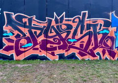 Graffiti Wall in Bollensdorf - Photo by Tysn - tysn, frs, berlin (2026)
