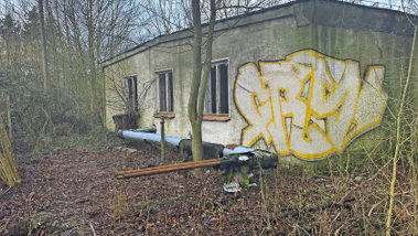 Graffiti Bombing in Schönwalde - Photo by Tysn - frs, freaks, lostplace (2024)