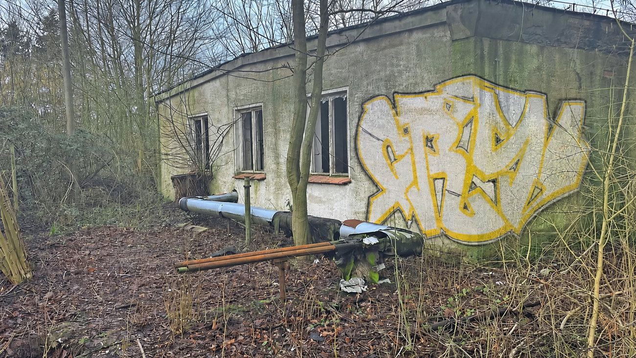 Graffiti Bombing in Schönwalde - Photo by Tysn - frs, freaks, lostplace (2024)