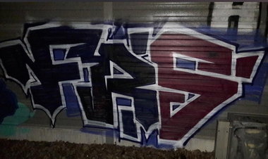 Graffiti Bombing in Berlin - Photo by Tysn - frs, freaks, pankow (2019)