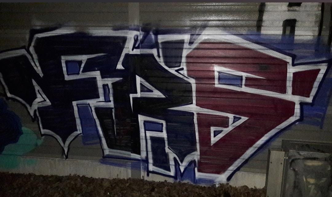 Graffiti Bombing in Berlin - Photo by Tysn - frs, freaks, pankow (2019)