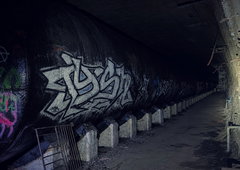 Photo #251980 by iobe1