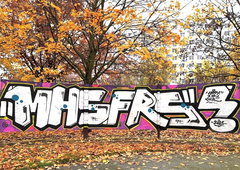 Graffiti Bombing - Photo by Tysn - mhs, frs (2025)