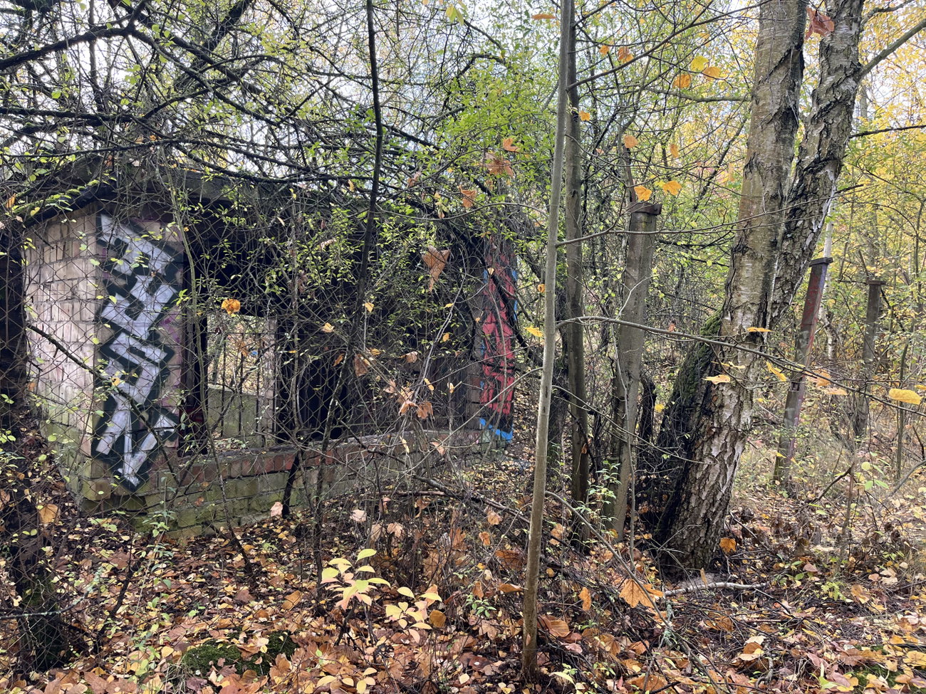 Graffiti Wall in Berlin - Photo by Tysn - tysn, frs (2025)