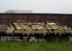 Photo #15311 by BugZBuNNy