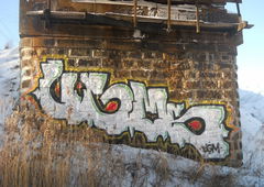 Photo #18834 by BugZBuNNy